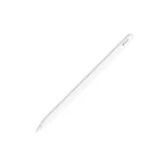 Apple Pencil (USB-C)